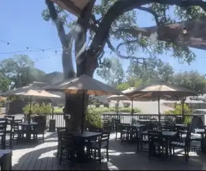 The Saloon patio...lights, misters, music, and fun!
