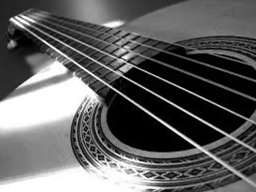 Saturday Night Live Music